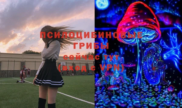 трава Абаза