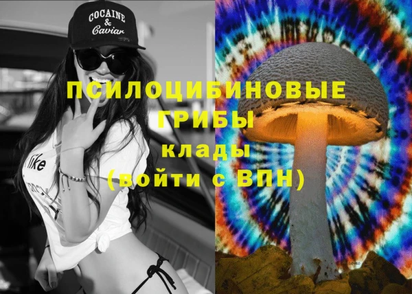 Альфа ПВП Абдулино