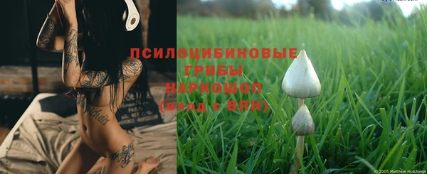 Альфа ПВП Абдулино