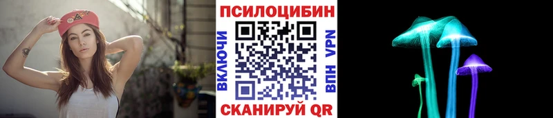 Псилоцибиновые грибы прущие грибы  Ростов-на-Дону 